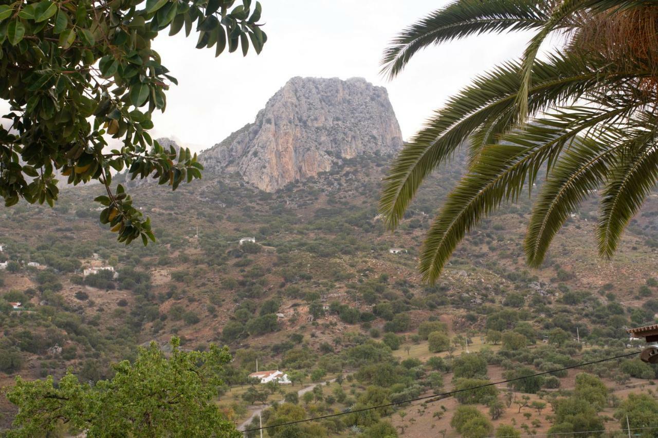 Lagar Del Chorro Junto Caminito Del Rey Piscina Y Baloncesto Apartment Exterior foto